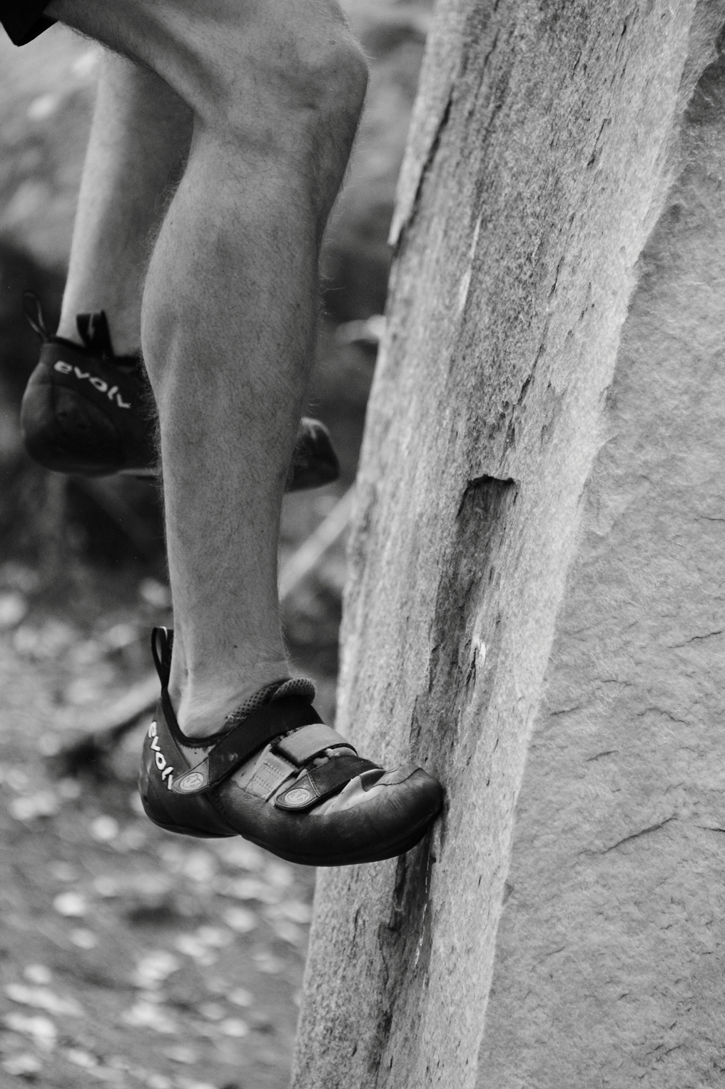 summer rock climbing bouldering in bas cuvier fontainebleau