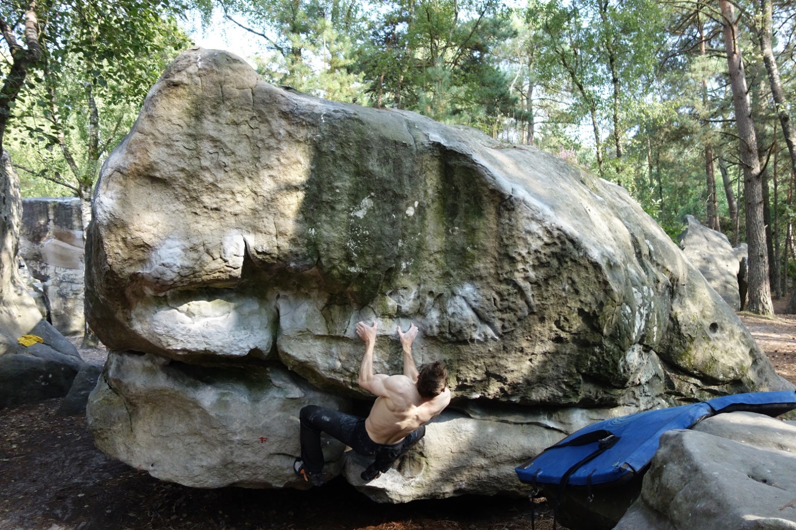 summer rock climbing bouldering in rocher saboux fontainebleau