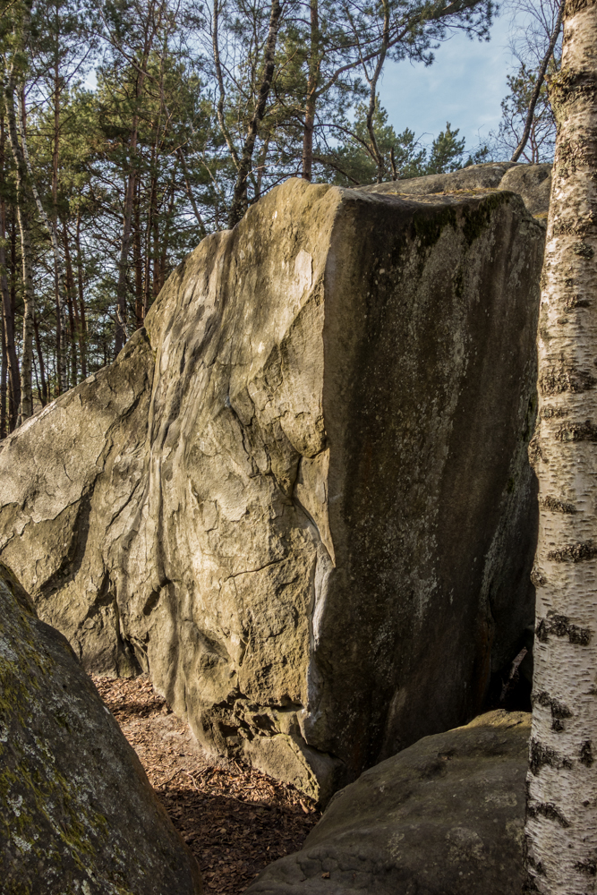 rock climbing bouldering in franchard isatis fontainebleau