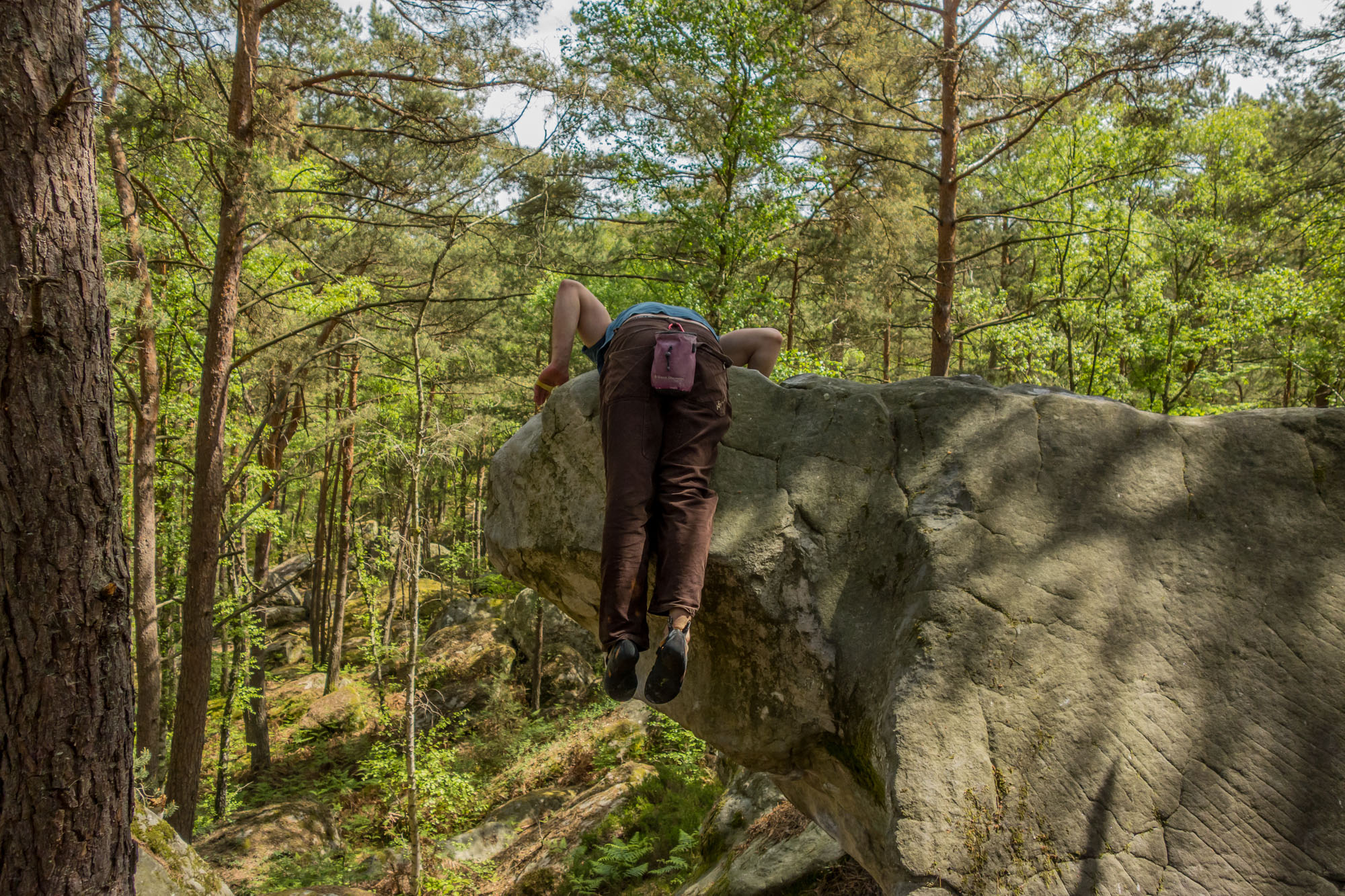 summer rock climbing bouldering in fontainebleau