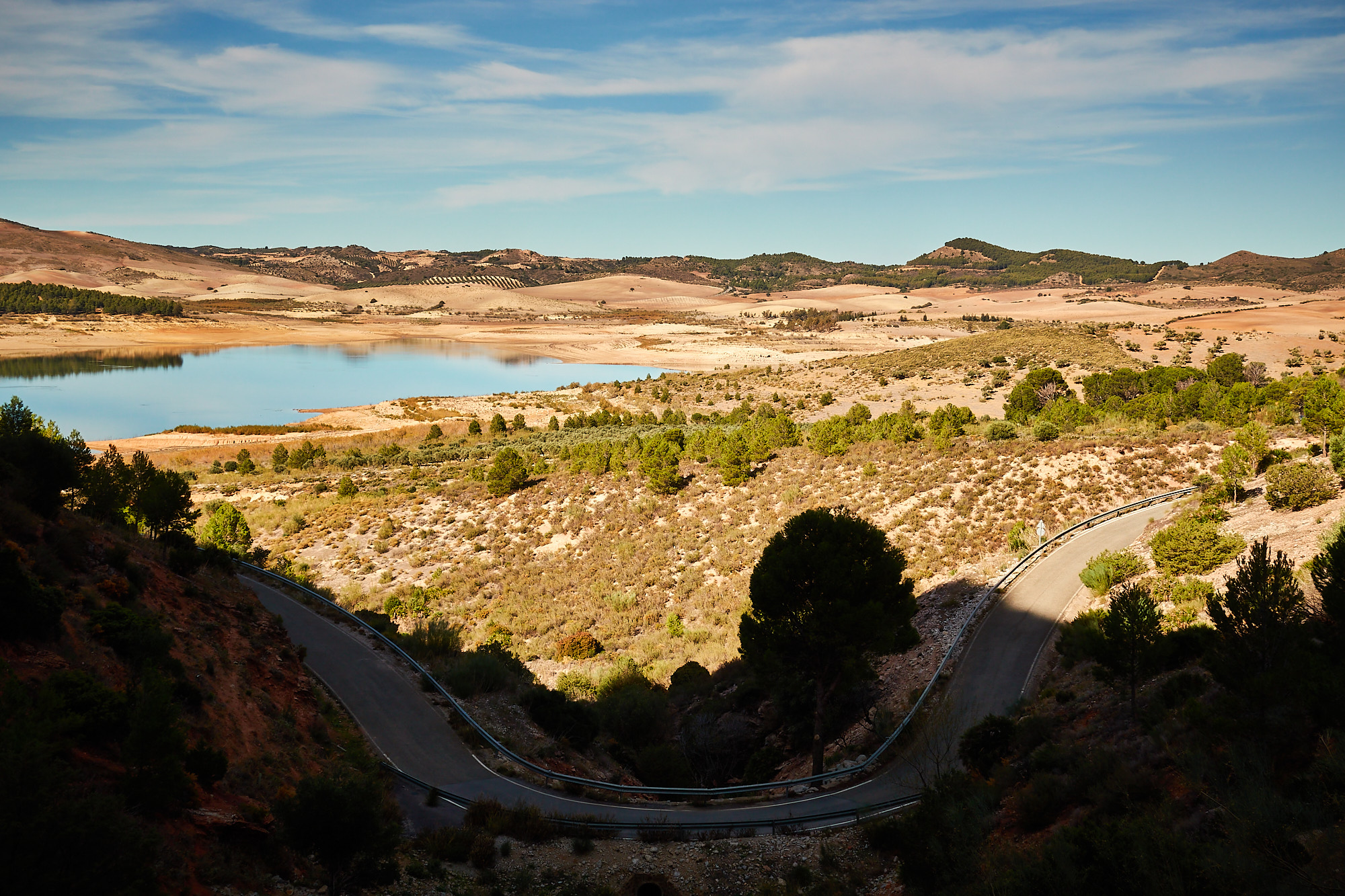 A landscape view of hot plains, olive groves and trees, with a blue sky and reservoir. A road with a bend is in the foreground.