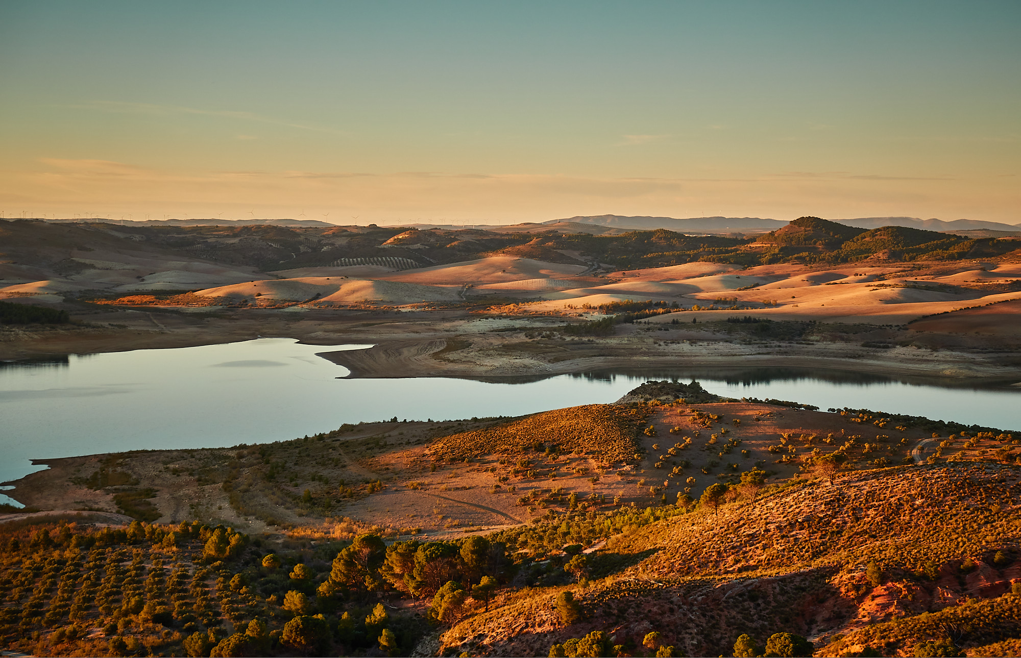 A landscape of barren plains, olive groves and a depleted reservoir at sunset