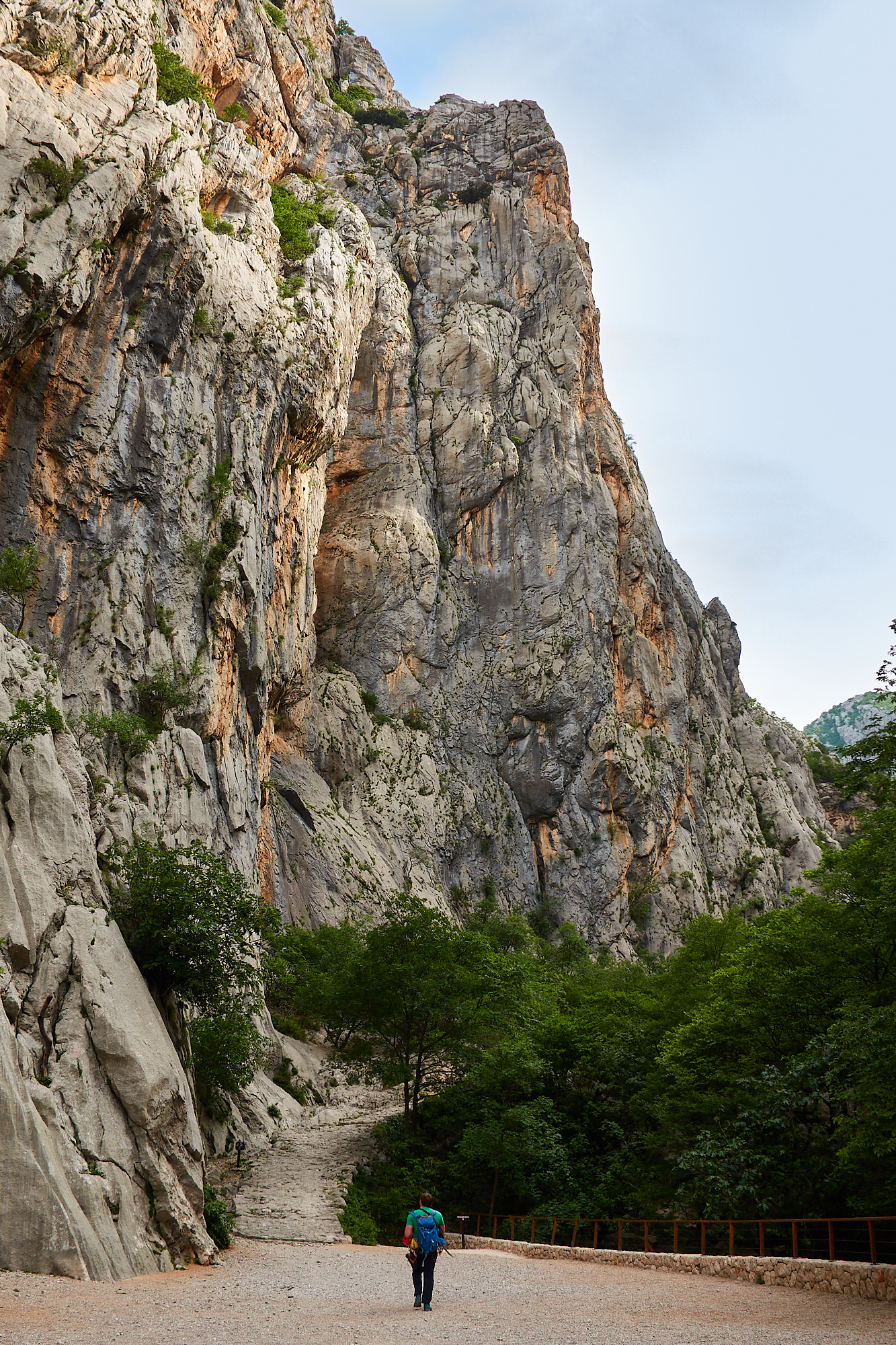 A climber walking towards a large limestone cliff called Debeli Kuk in the Paklenica gorge in Croatia