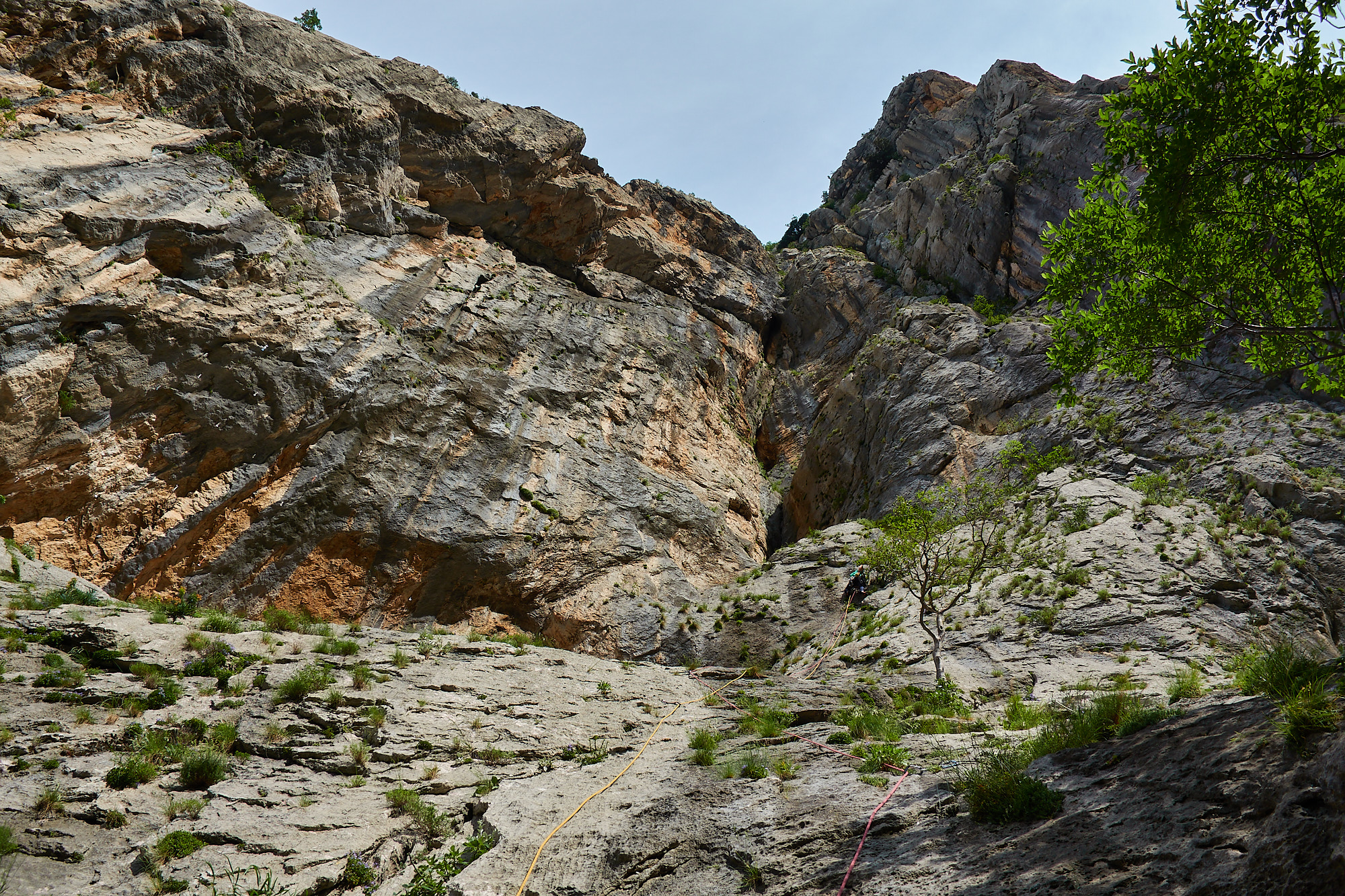 A climber on the first pitch of a route called Slovenski PIPS on a large limestone cliff called Debeli Kuk in the Paklenica gorge in Croatia