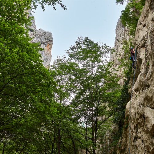A climber on a limestone sport climb with trees and blue sky behind in Sector Klanci in the Paklenica gorge in Croatia