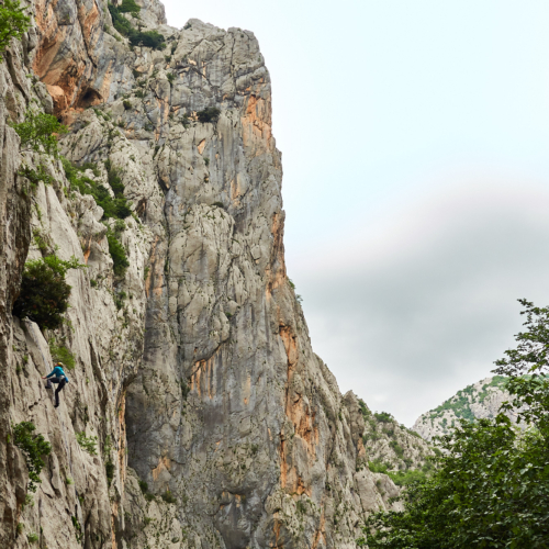 A climber on a limestone sport climb with trees and blue sky behind in Sector Klanci in the Paklenica gorge in Croatia