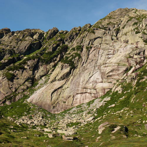 A view of sweeping tongue of white and brown granite slab set in a mountainside surrounded by alpine meadow