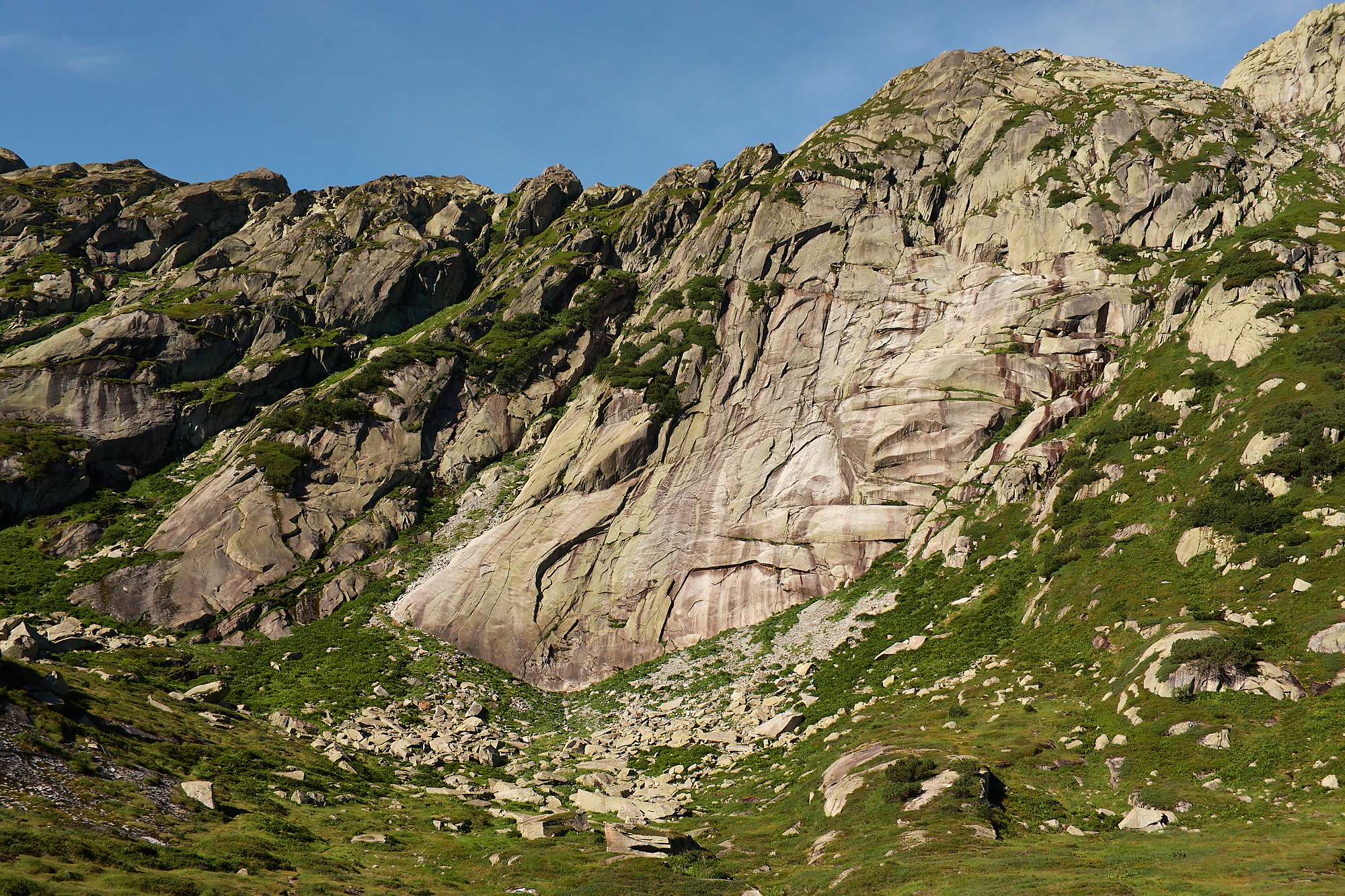 A view of sweeping tongue of white and brown granite slab set in a mountainside surrounded by alpine meadow